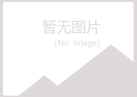 鹤岗兴山诗云金属有限公司